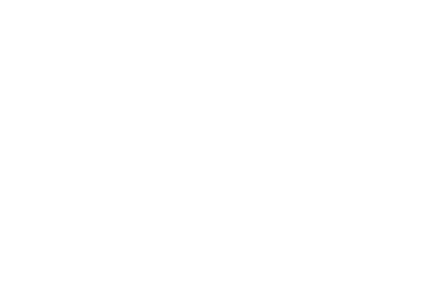 Longhorn BSM