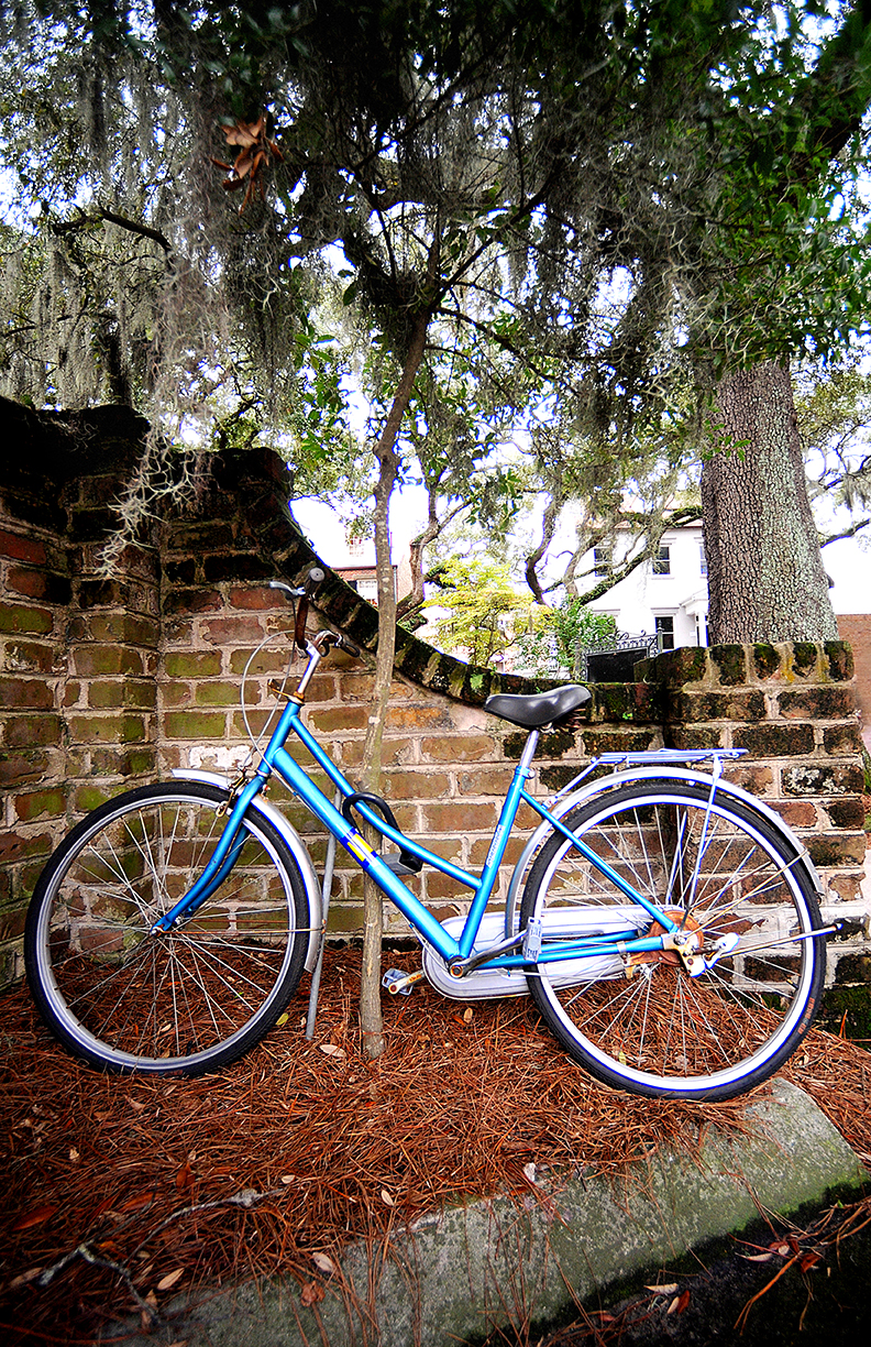 Savannah Bike website.jpg
