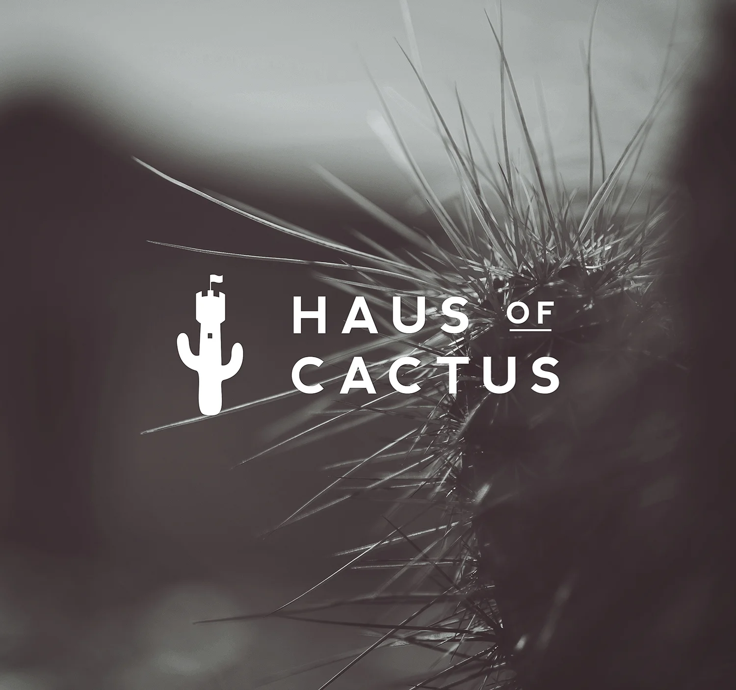 Haus of Cactus 1.jpg