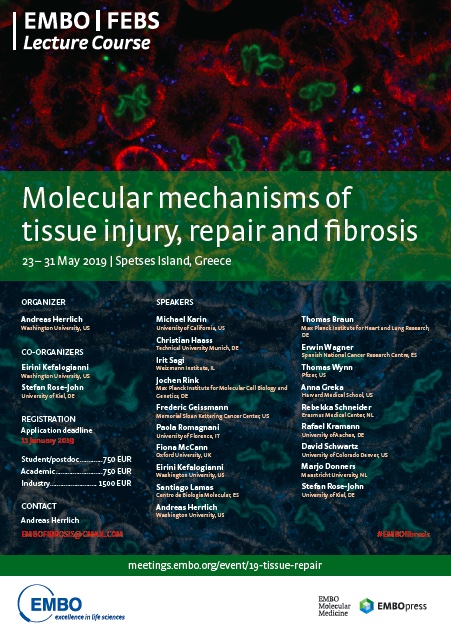 2019 May Our EMBO FEBS LECTURE COURSE poster