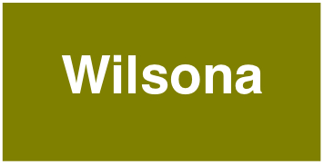 Wilsona.png