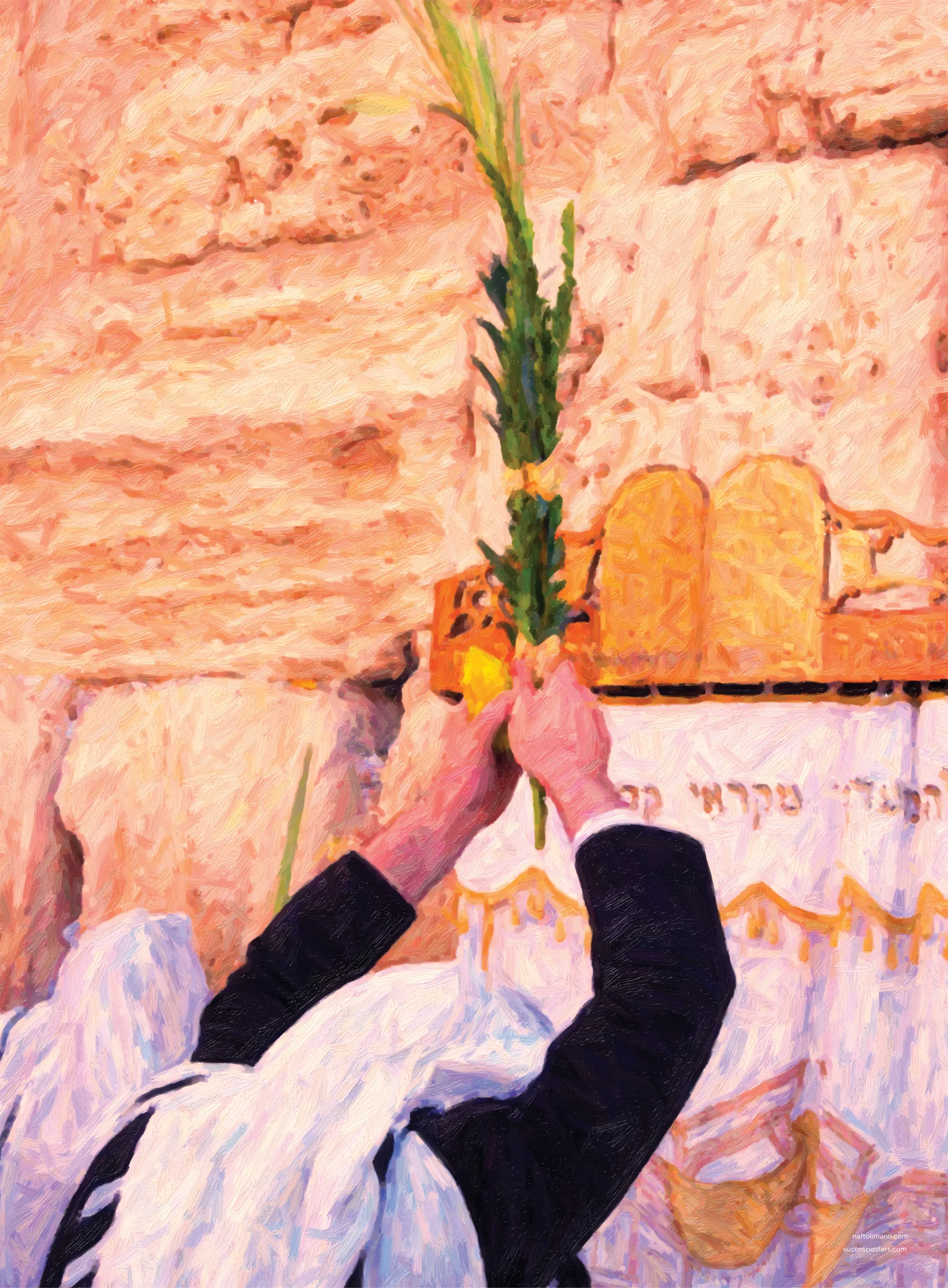 Kotel Lulav 19x26