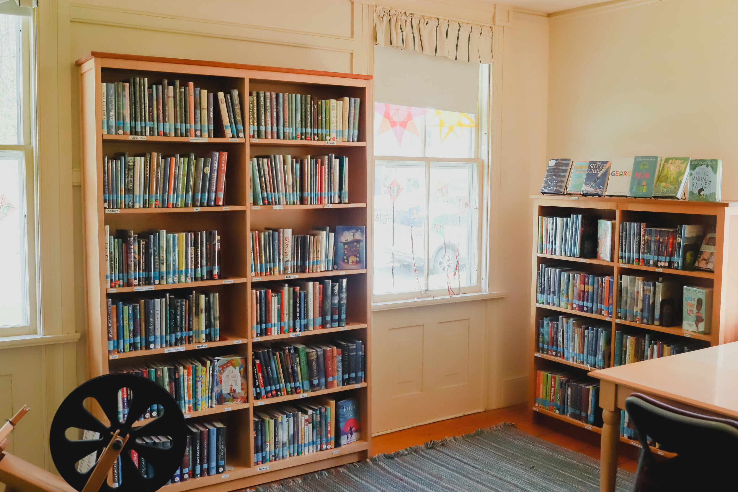 Programs/Summer Reading — Tunbridge Public Library