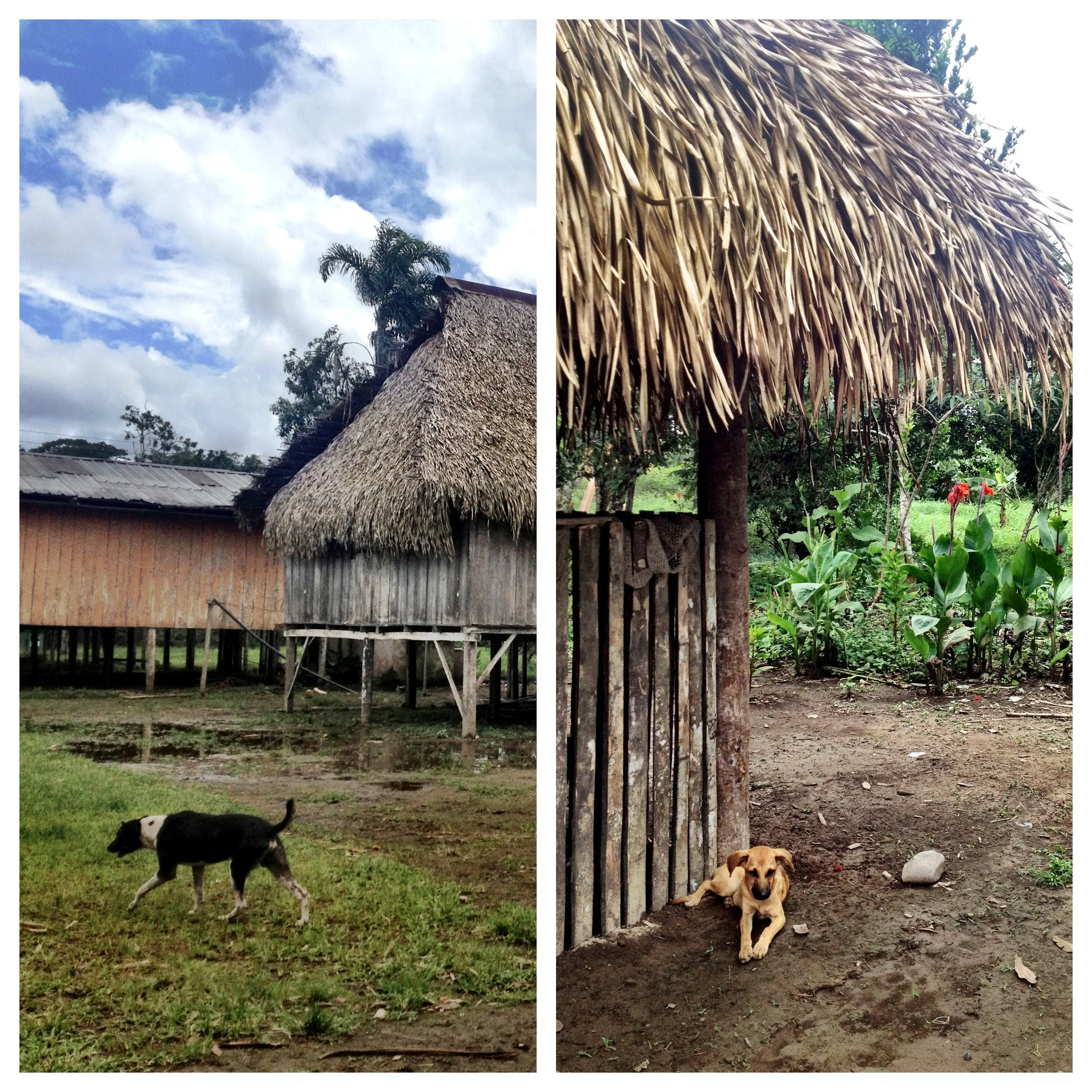 cuyabeno_village_adapia_2013.jpg