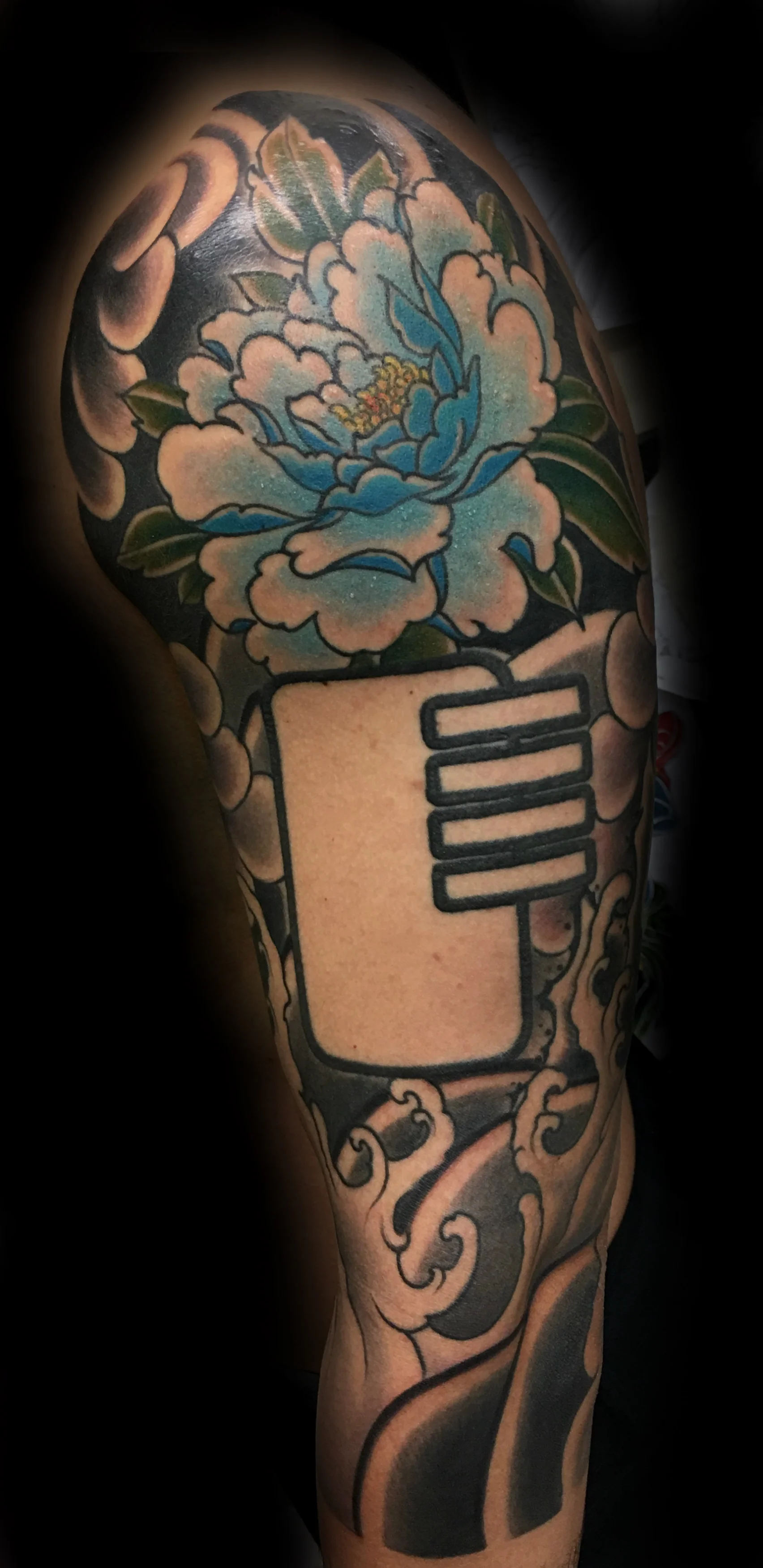 Botansleeve1.jpg