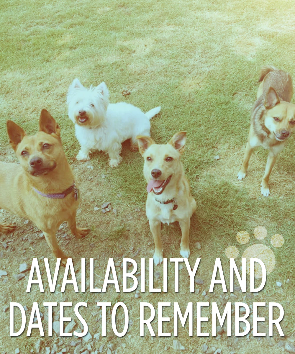 availability.jpg