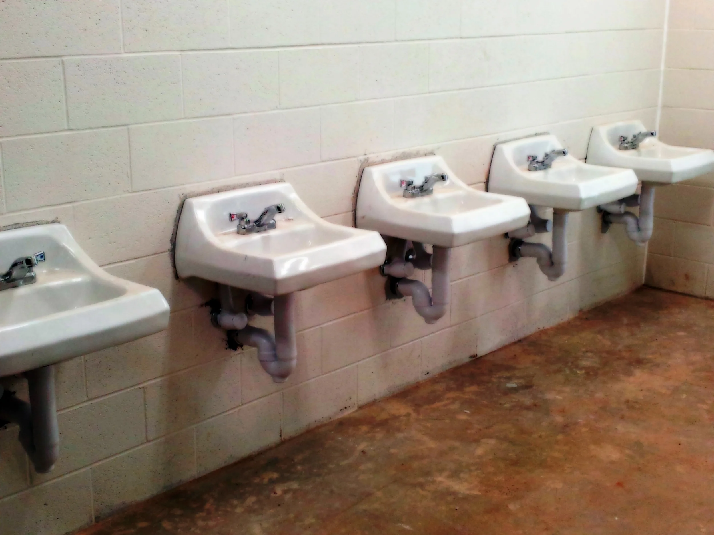 c14.jpg