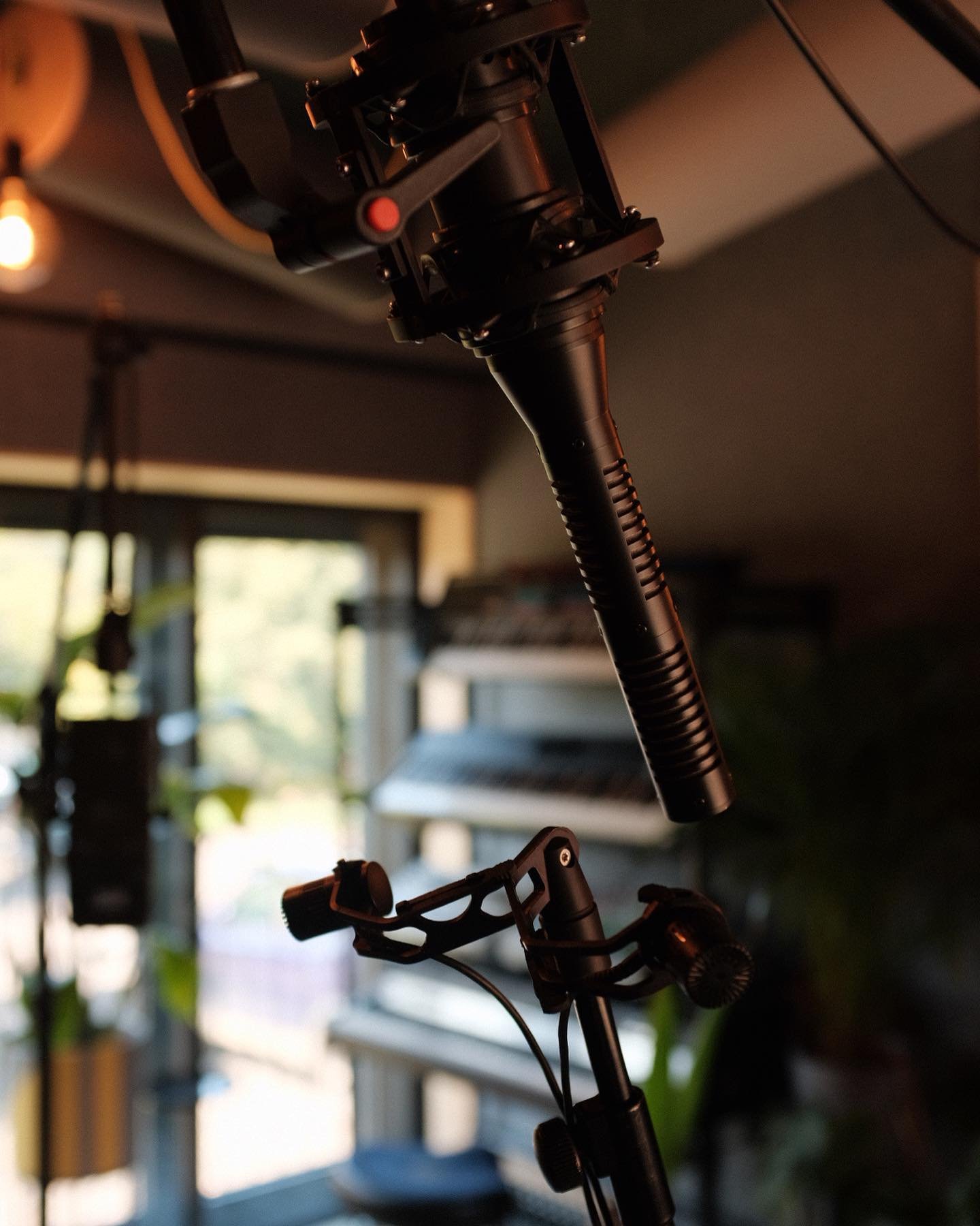 My current favourite stereo mic set up is mixing the @royerlabs SF24 with the @dpa_microphones 4011&rsquo;s in ORTF for incredible detail &amp; vibe. The Royer will usually sit as the main pair; but obviously being darker in tone, allows the top end 
