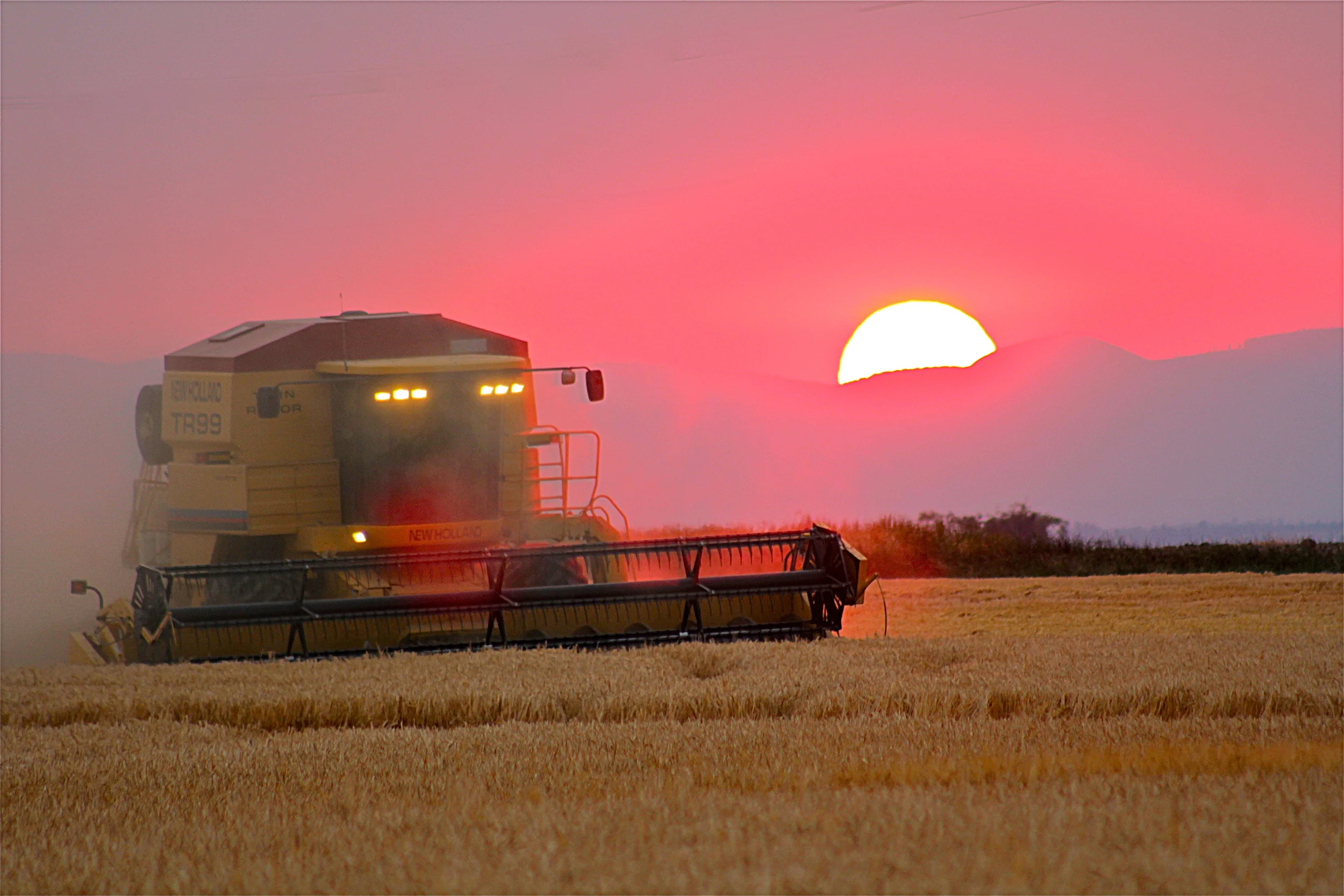 Grain harvest at Mecca Grade Estate Malt. Photo by Travis Ralls
