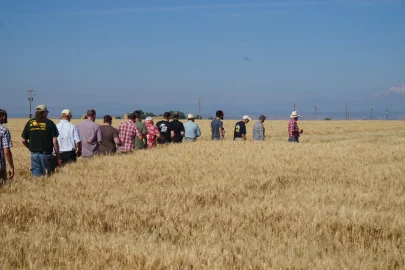 mecca_field.jpg