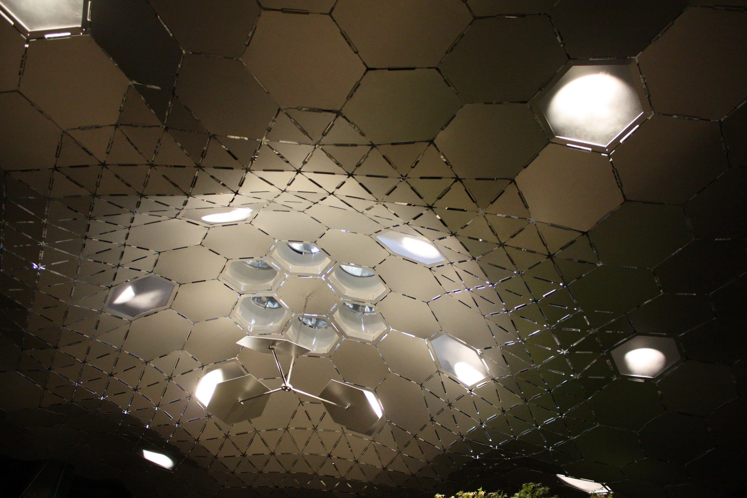 Imagining the Lowline