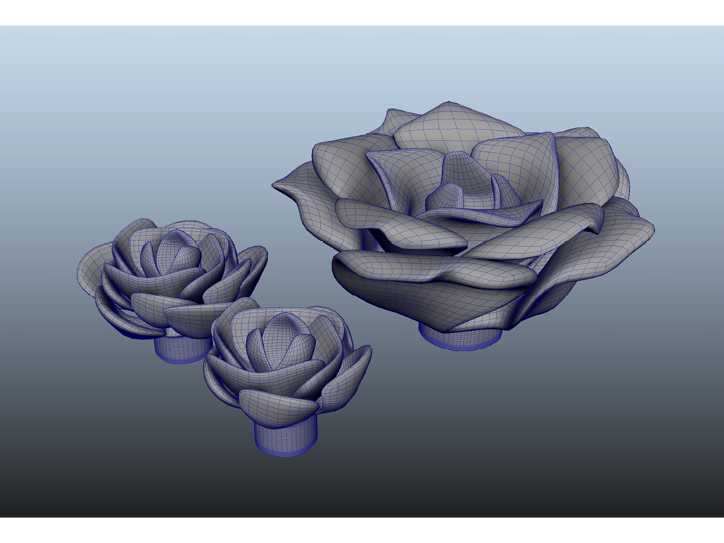 Rose Ornamentations