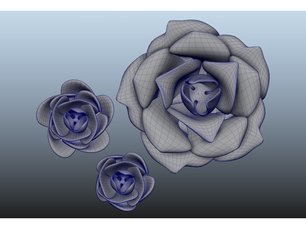 Rose Ornamentations