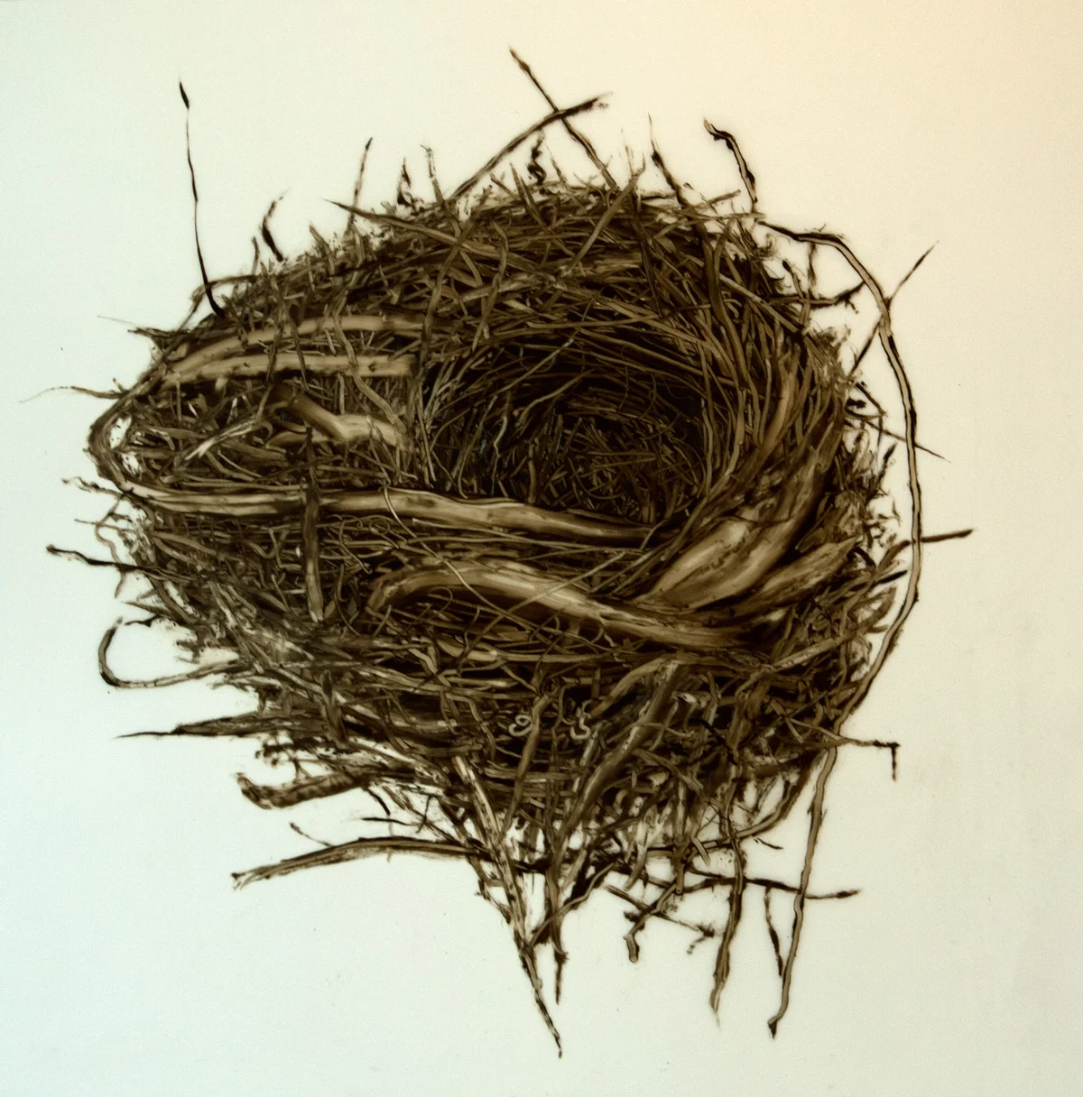 Nest #3, 2013