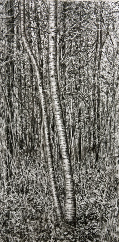 November at the Sandy River Delta #3, 2012