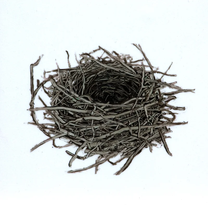 Tiny Nest #3, 2013