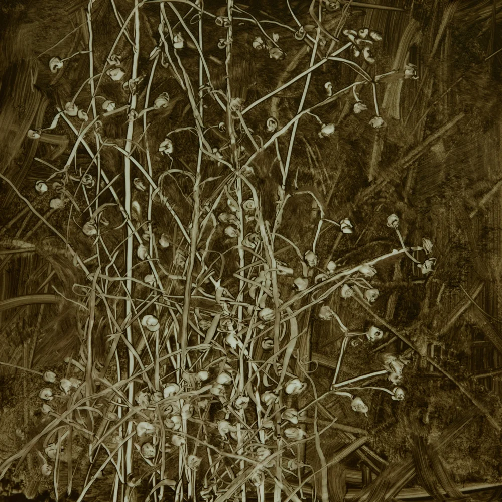 Oaks Bottom #1, 2013