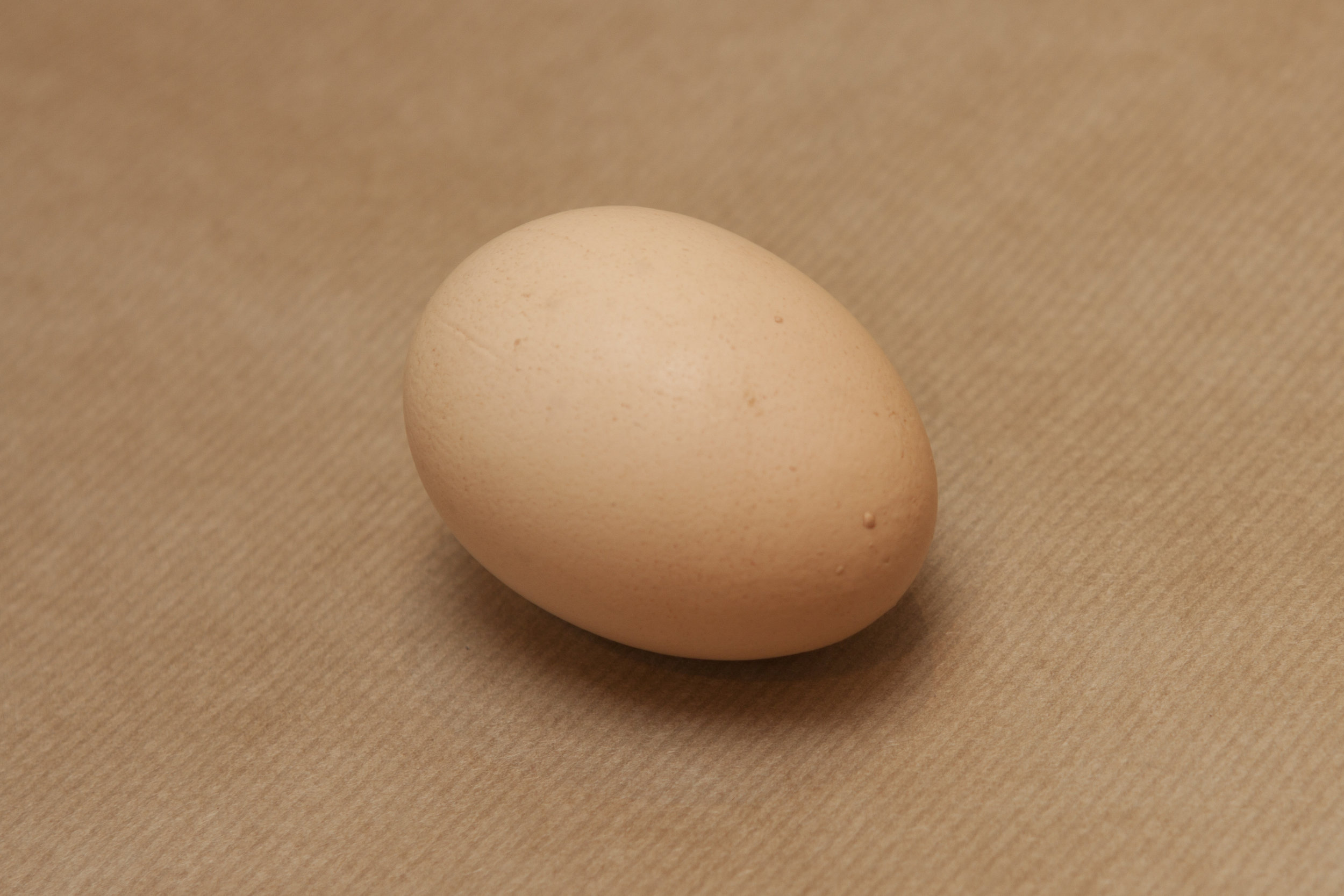 egg02.jpg