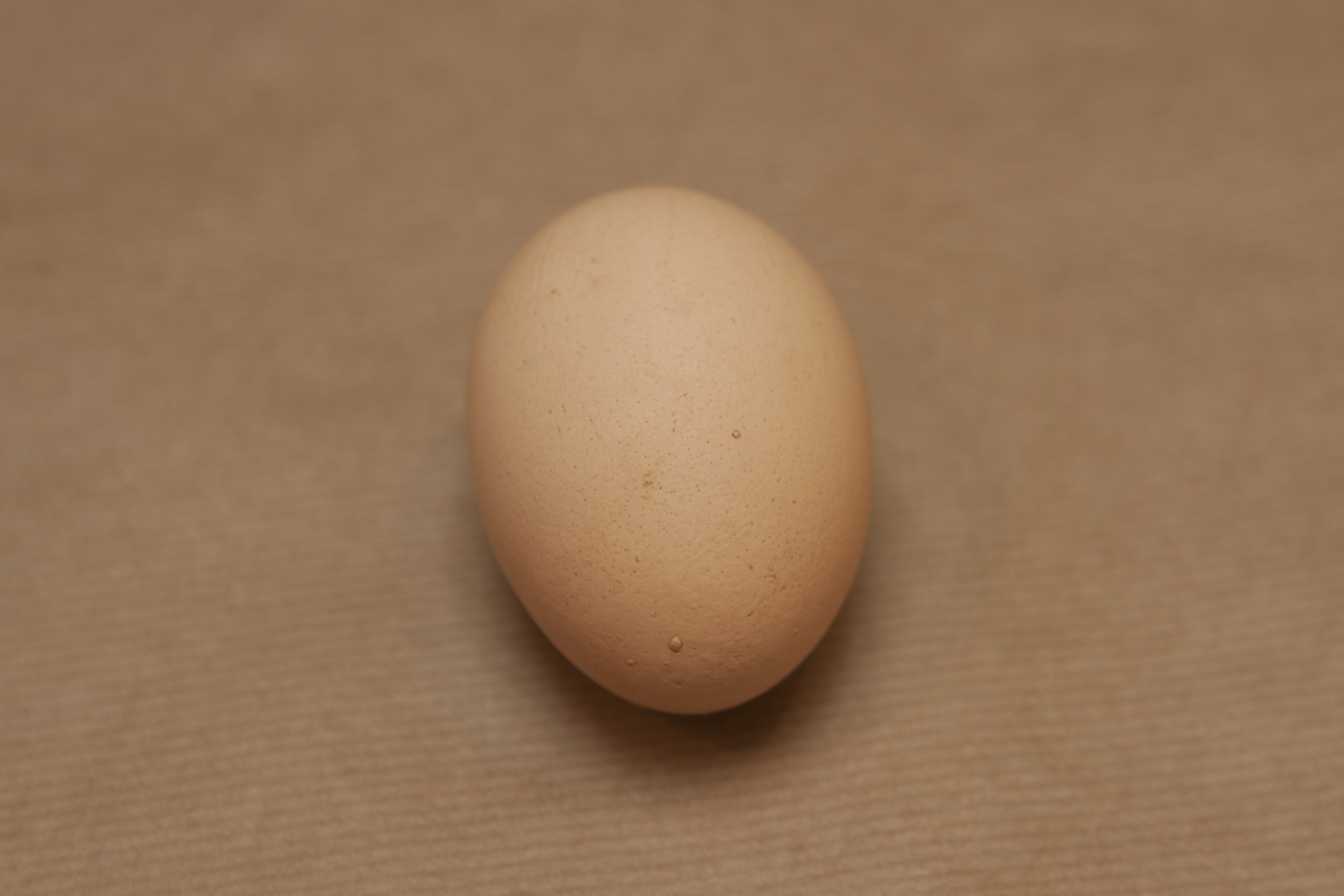 egg03.jpg