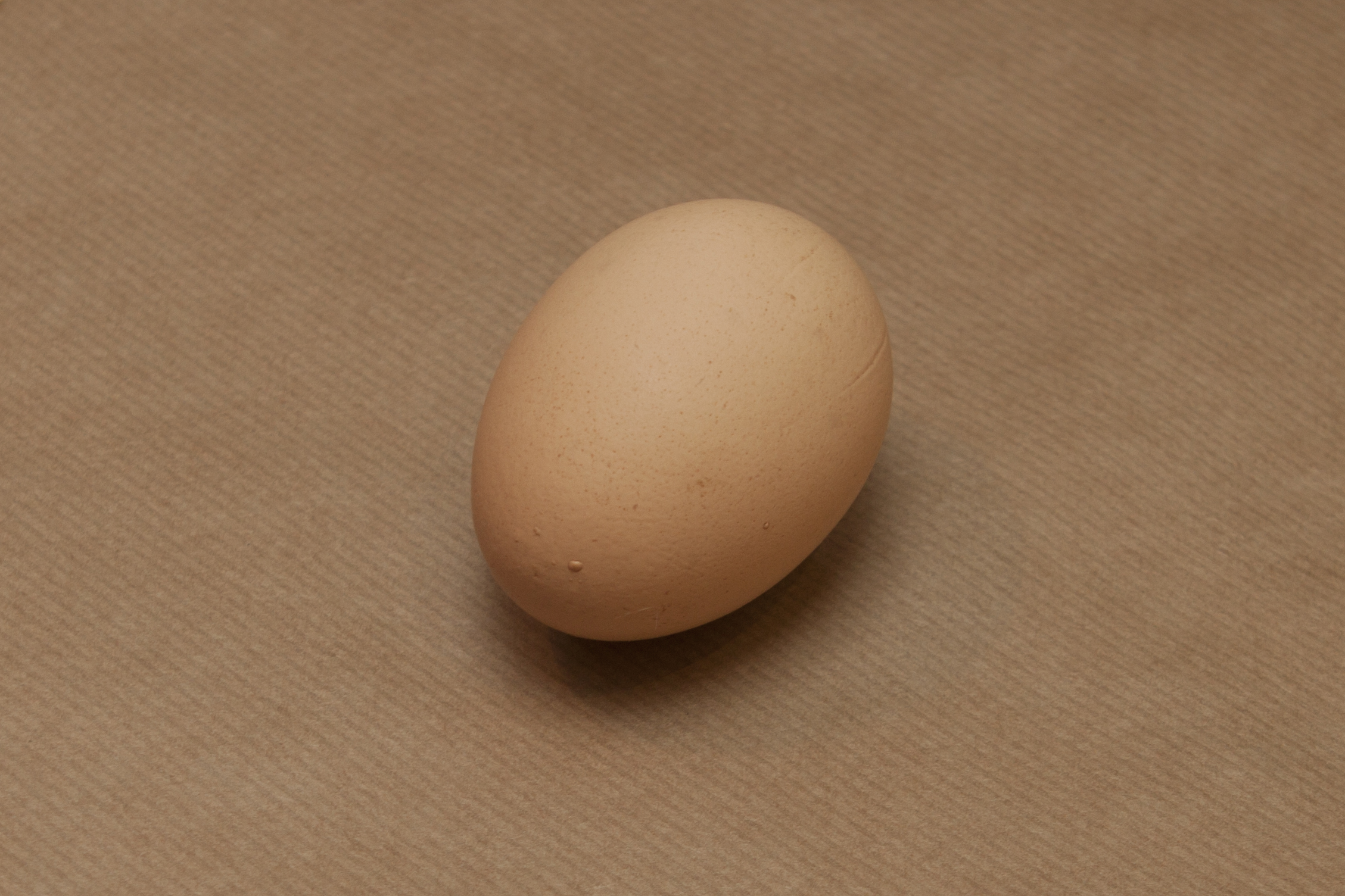 egg06.jpg