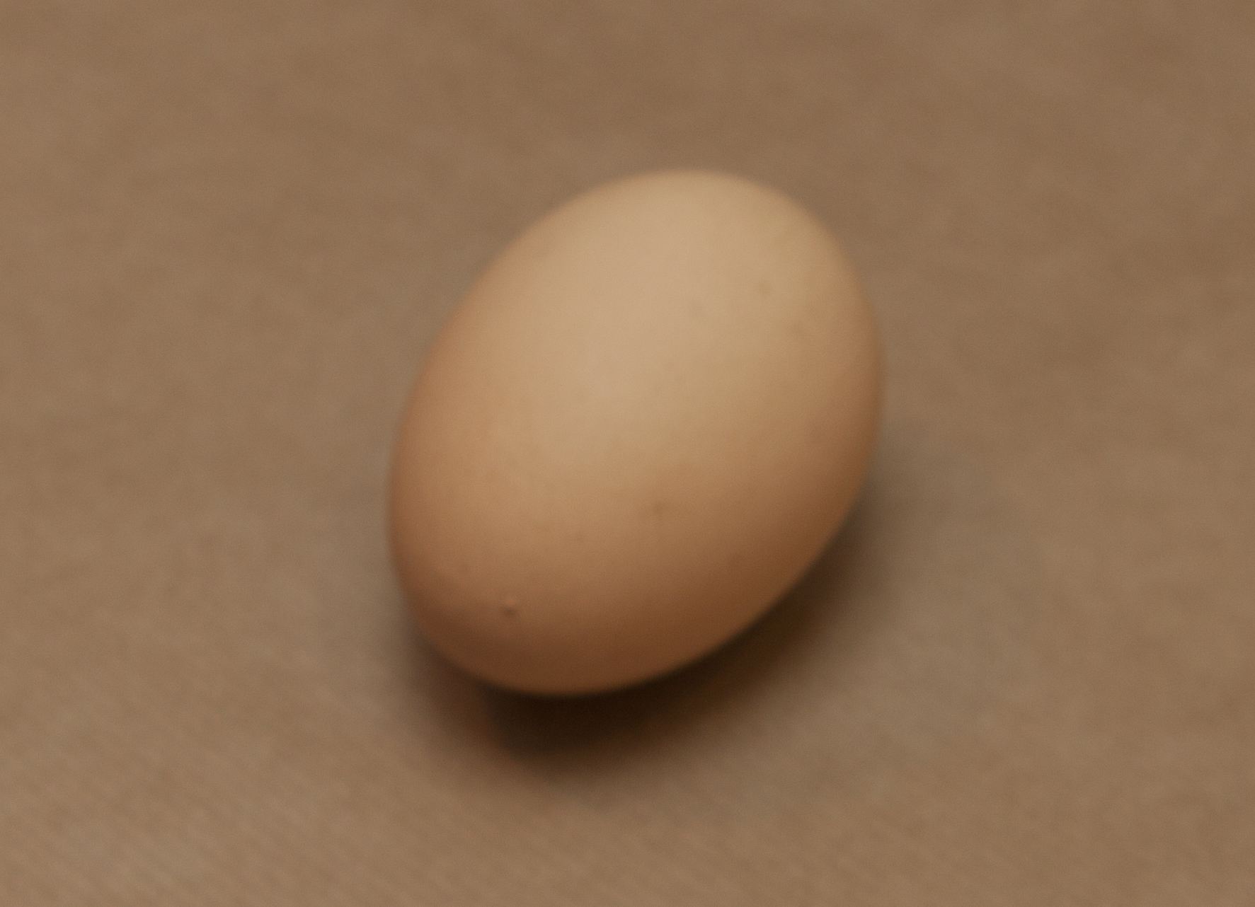 egg07.jpg