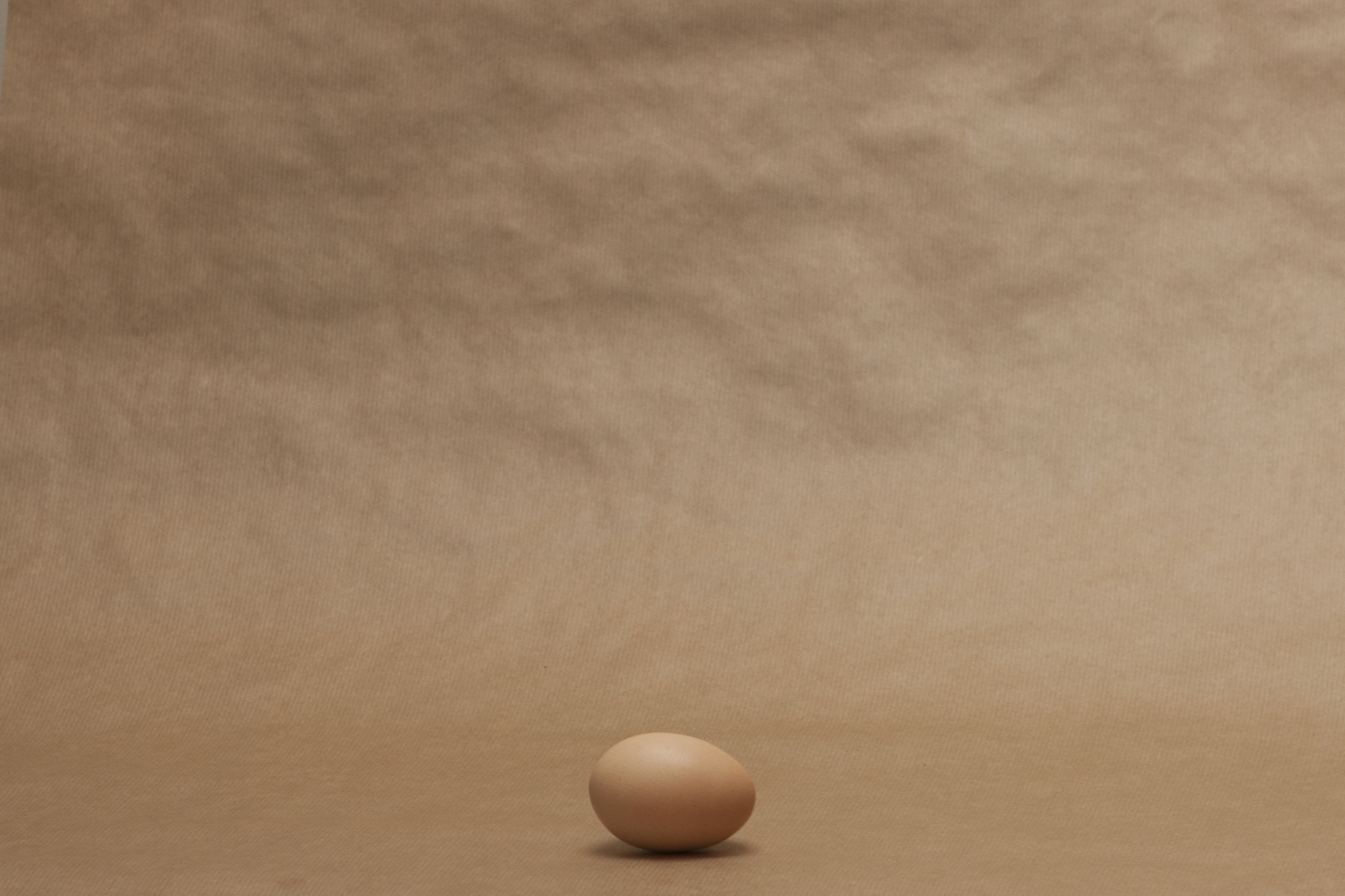 egg08.jpg