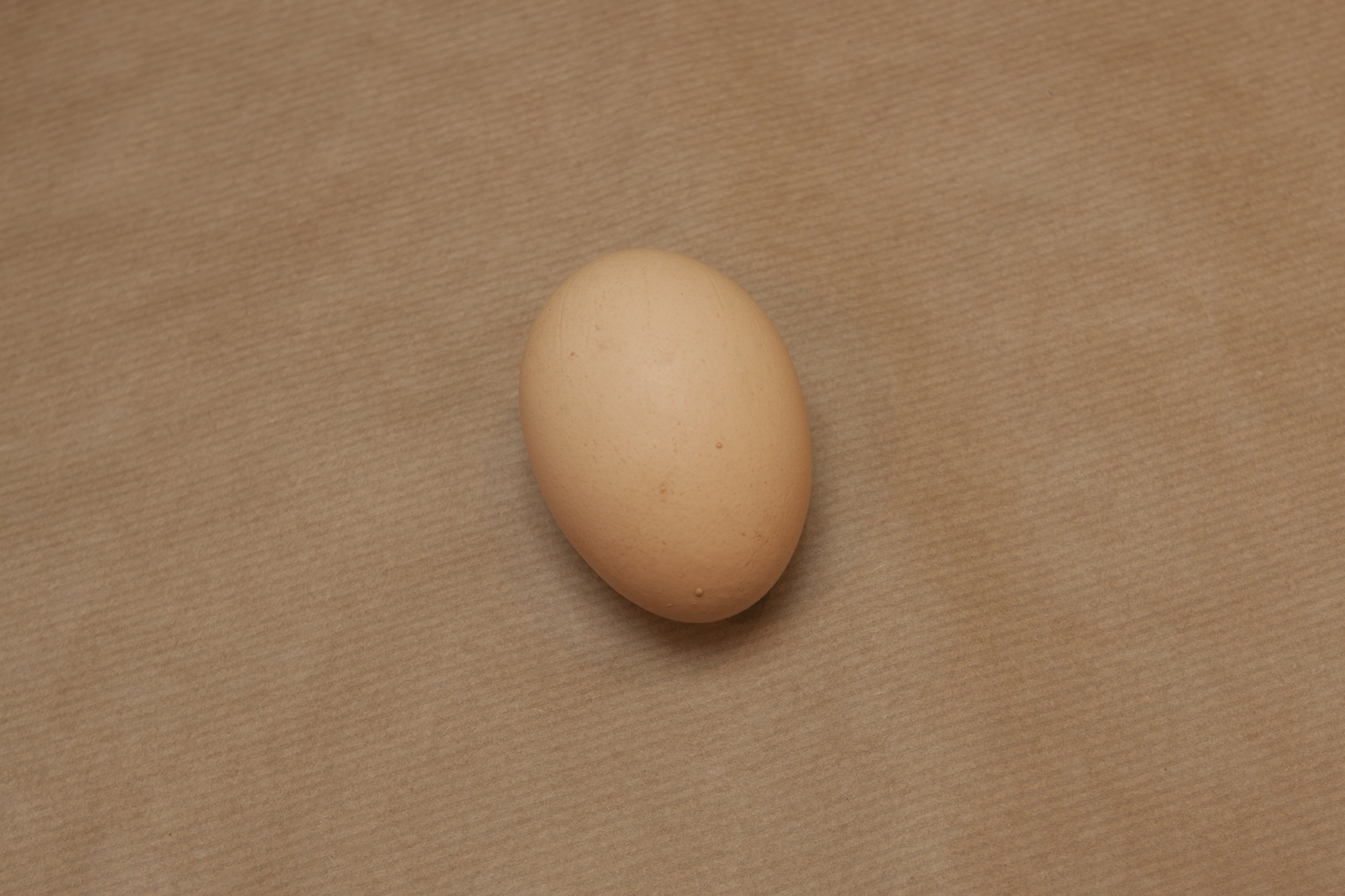 egg05.jpg