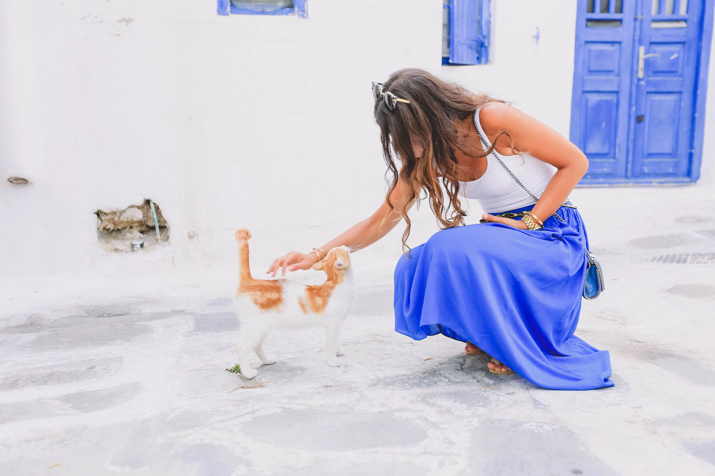 Cute kitties in the Old Town