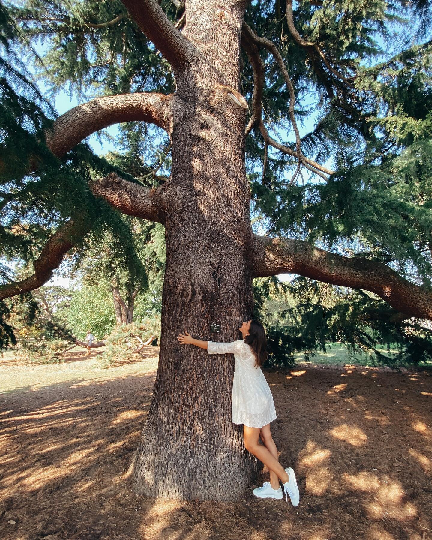 Spending time in nature has become my daily priority ❤️ Did you know that hugging a tree increases levels of hormone oxytocin. This hormone is responsible for feeling calm and emotional bonding. When hugging a tree, the hormones serotonin and dopamin