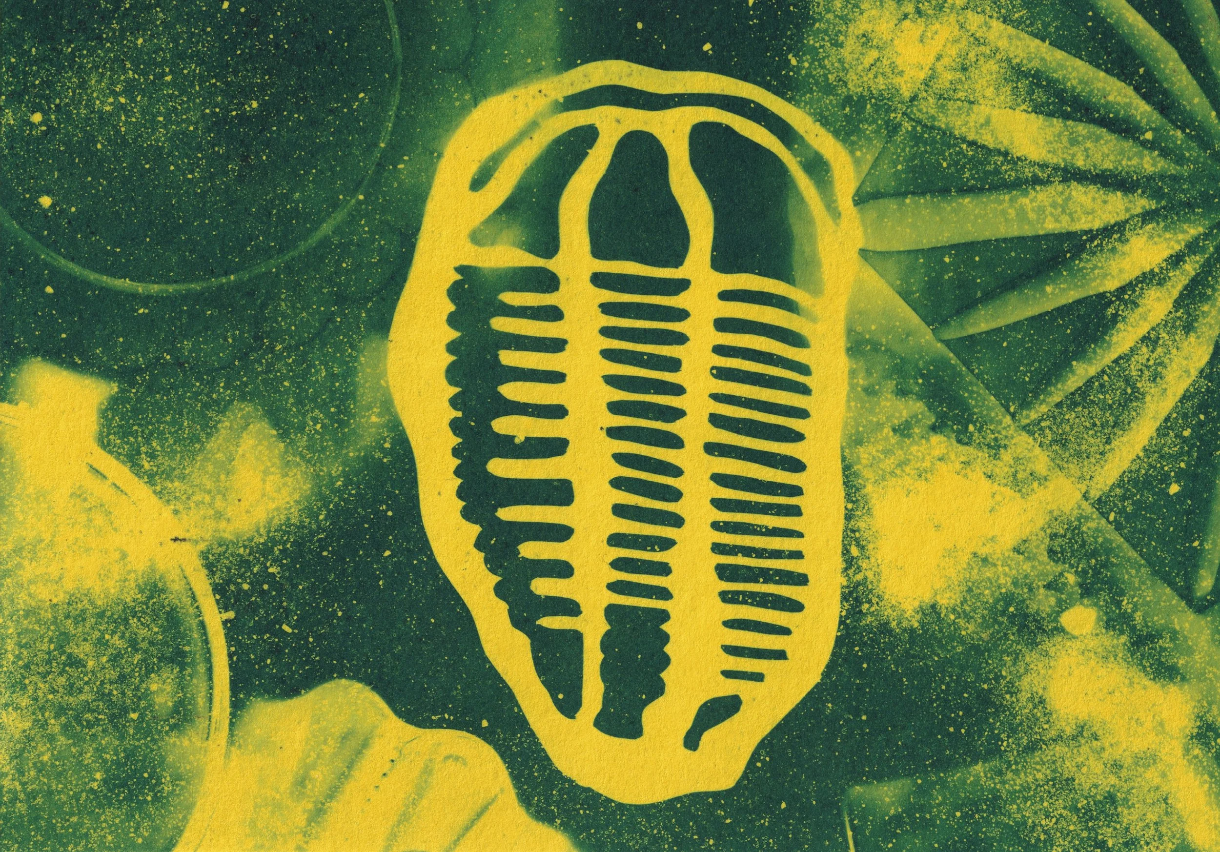 trilobite.jpg
