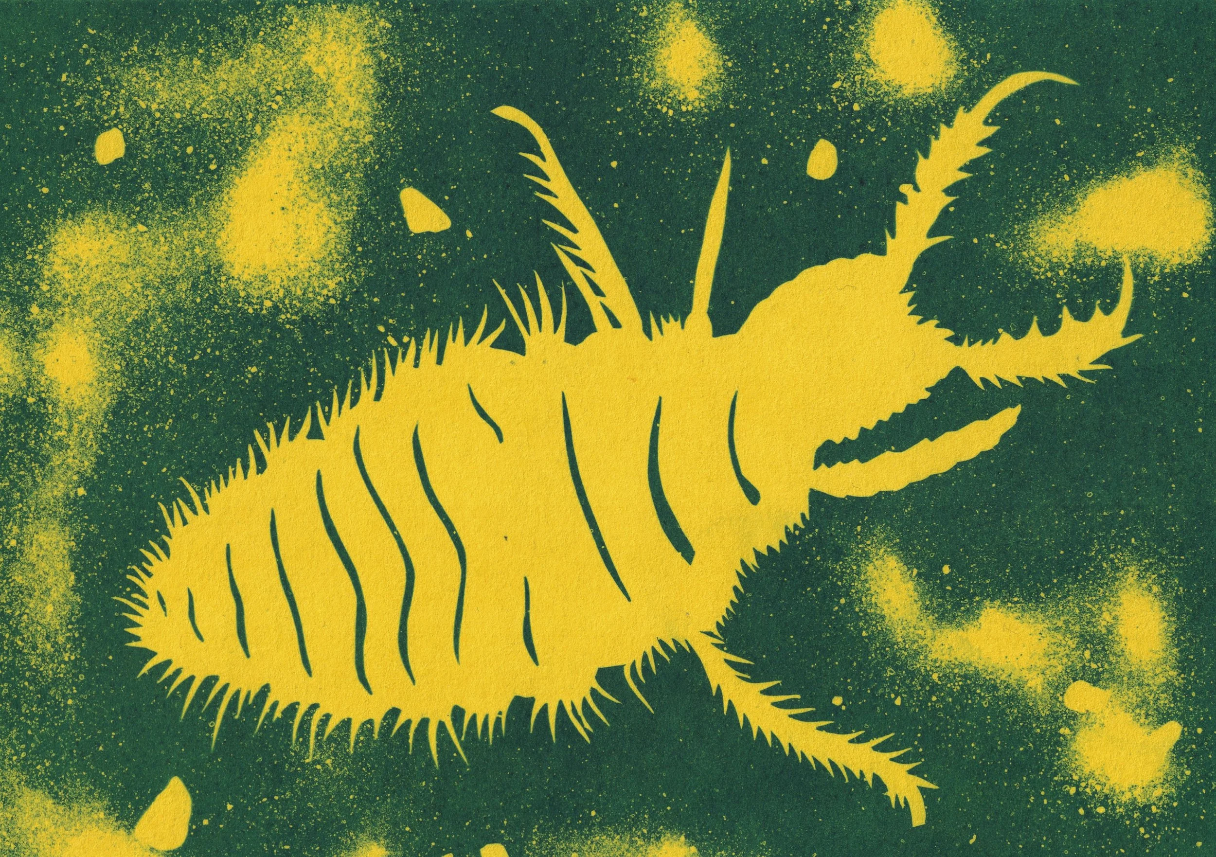 antlion.jpg