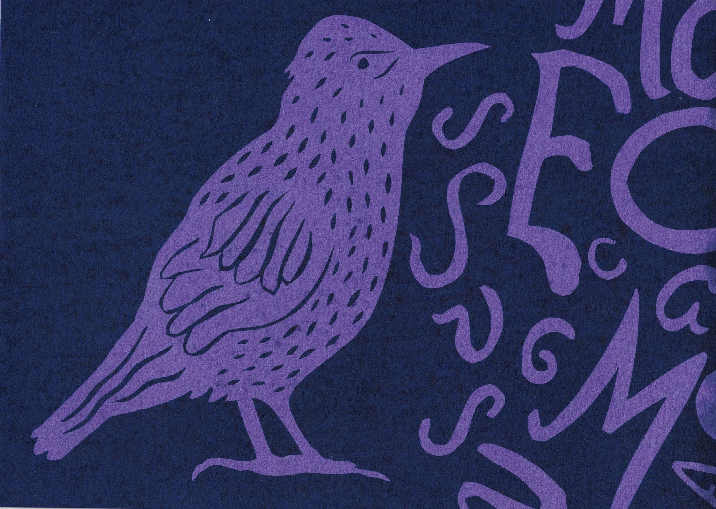 european starling.jpg