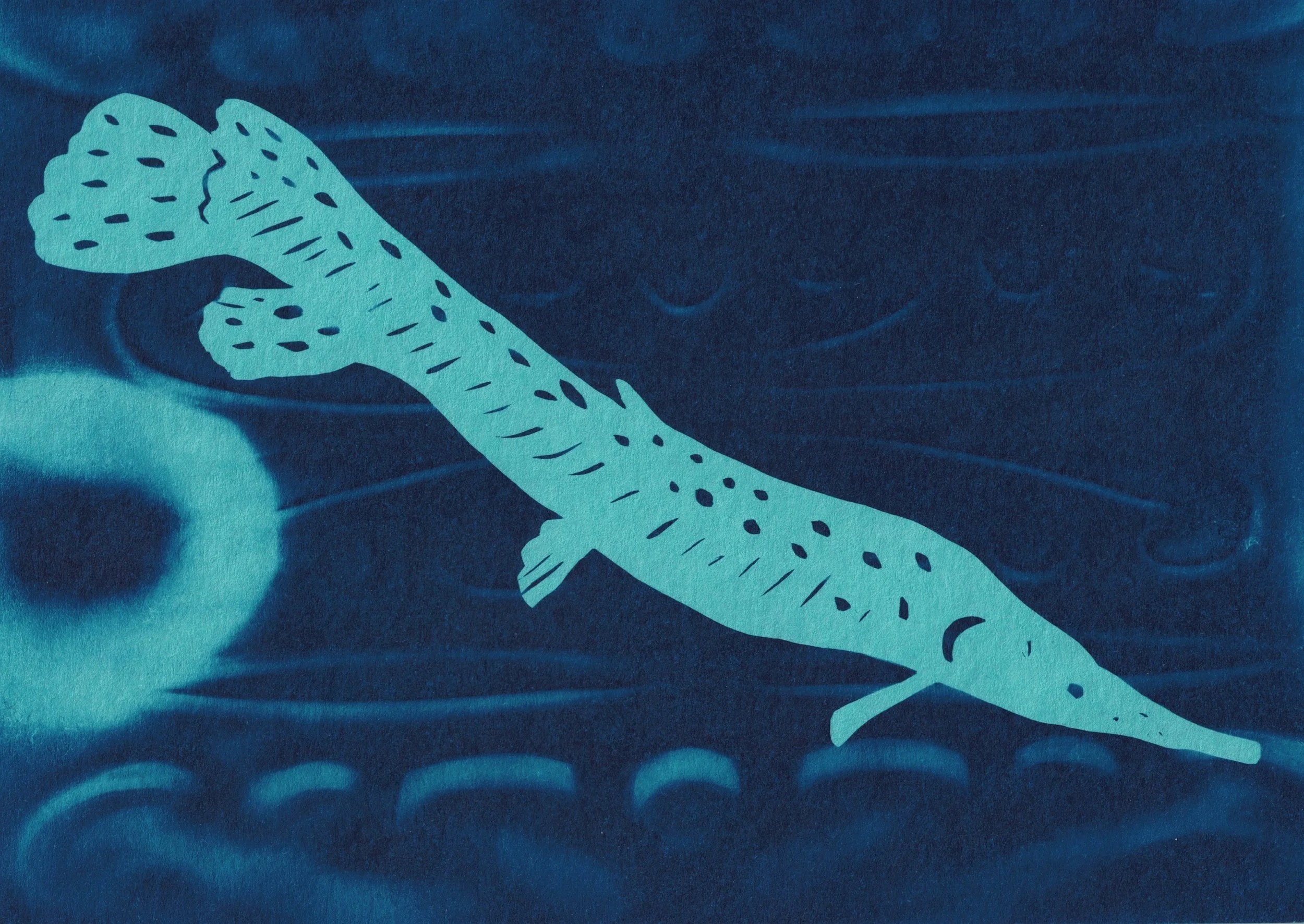spotted gar.jpg