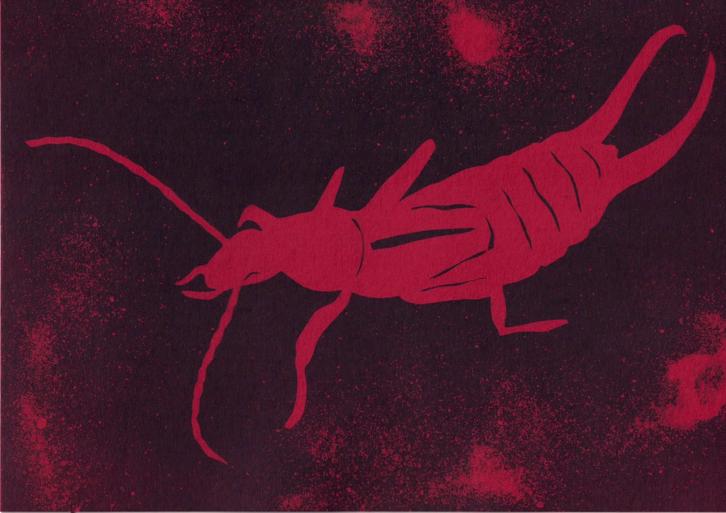 earwig.jpg