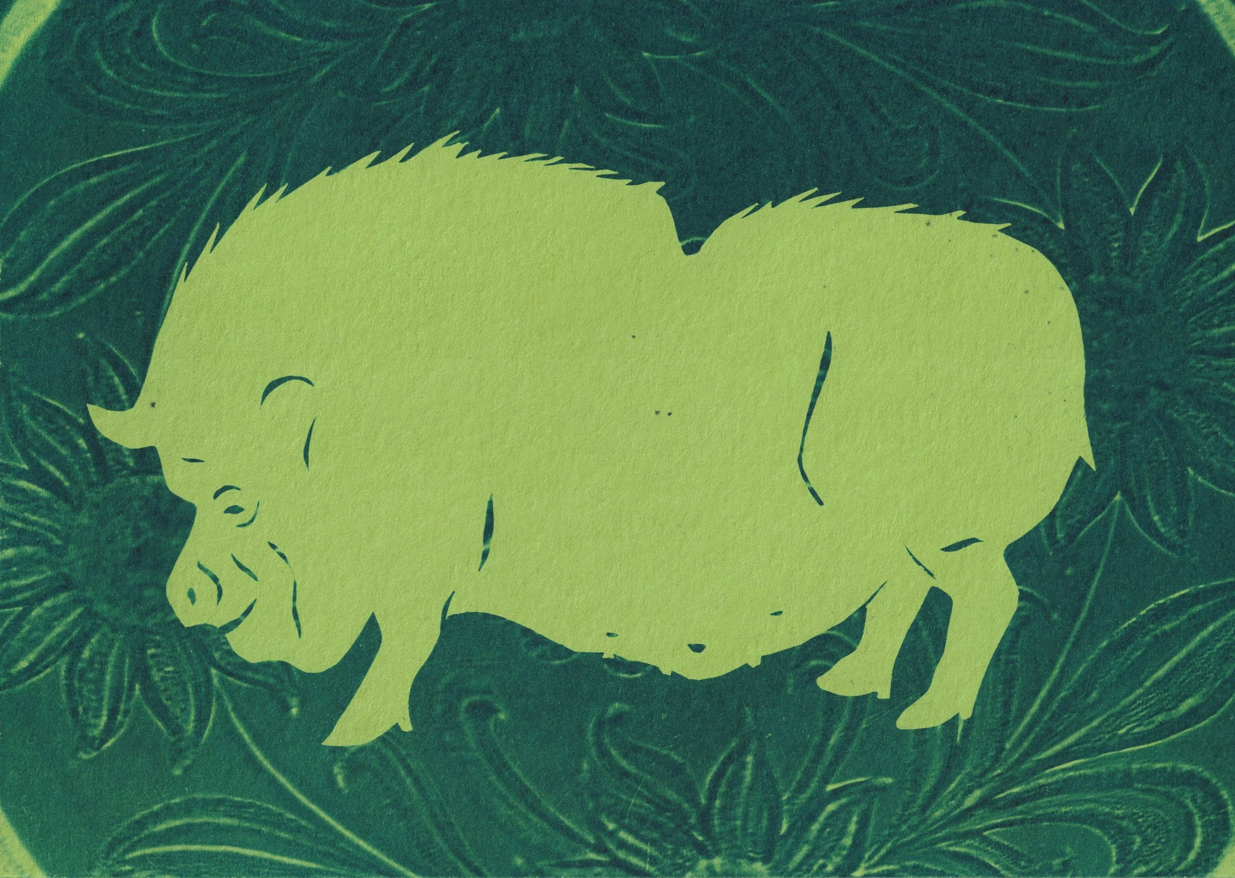 vietnamese potbellied pig.jpg