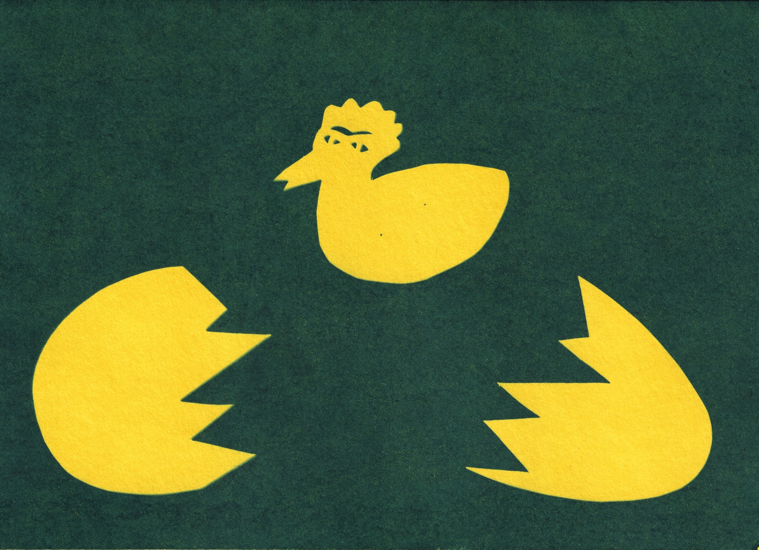 duck hatched.jpg
