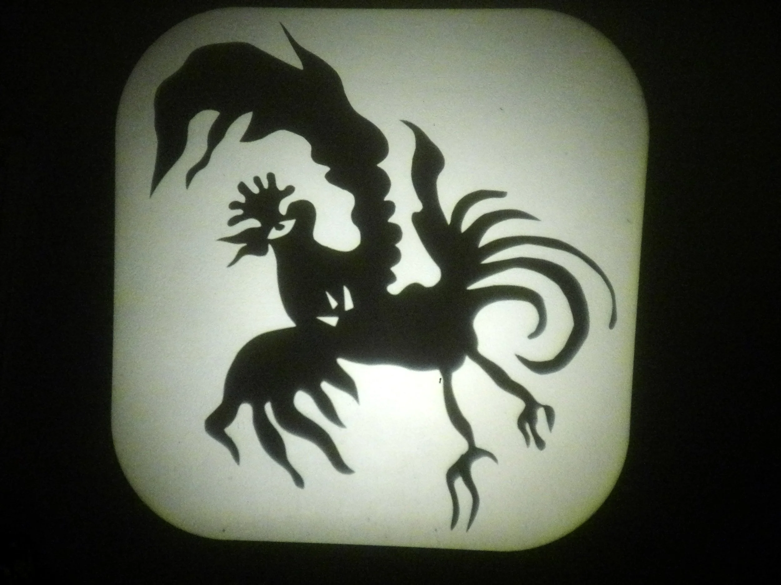 DSCN2370.JPG
