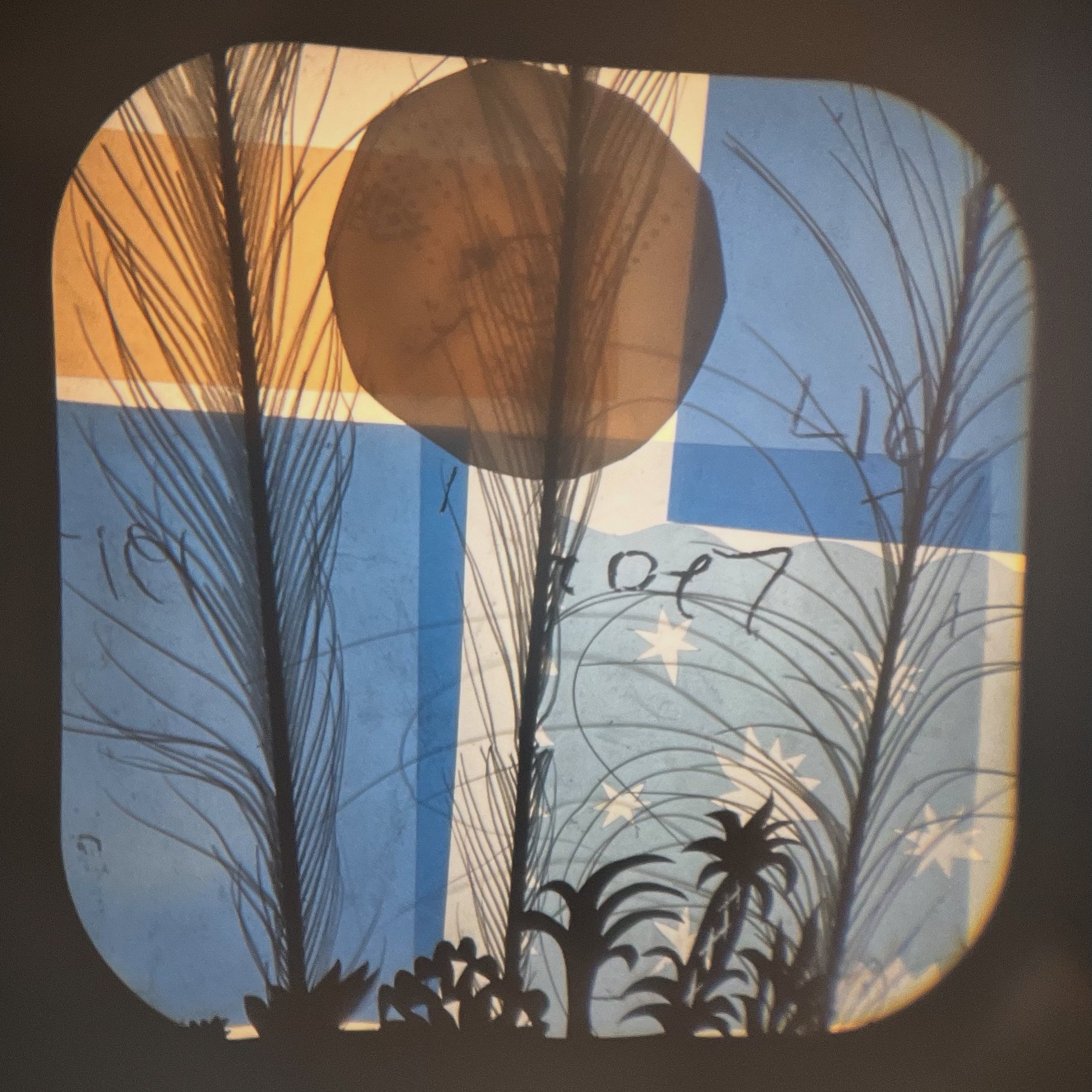 C6D88279-DB2A-405A-8C2A-6C25E99ED5D0 2.JPG