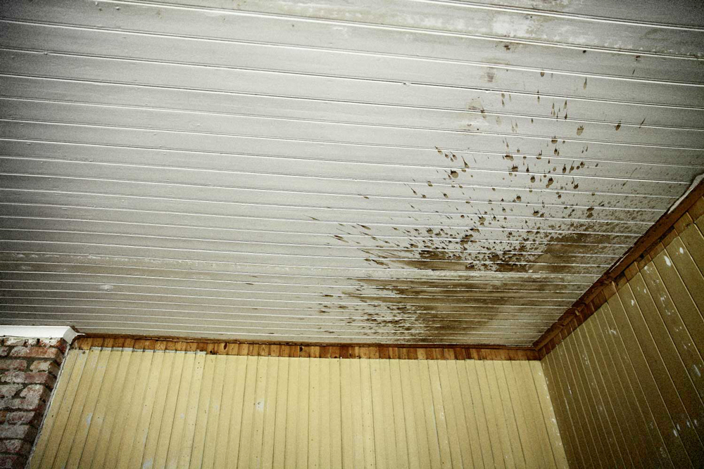 Ceiling:Explotion:Nåderiket©CamillaJensen_2012.jpg