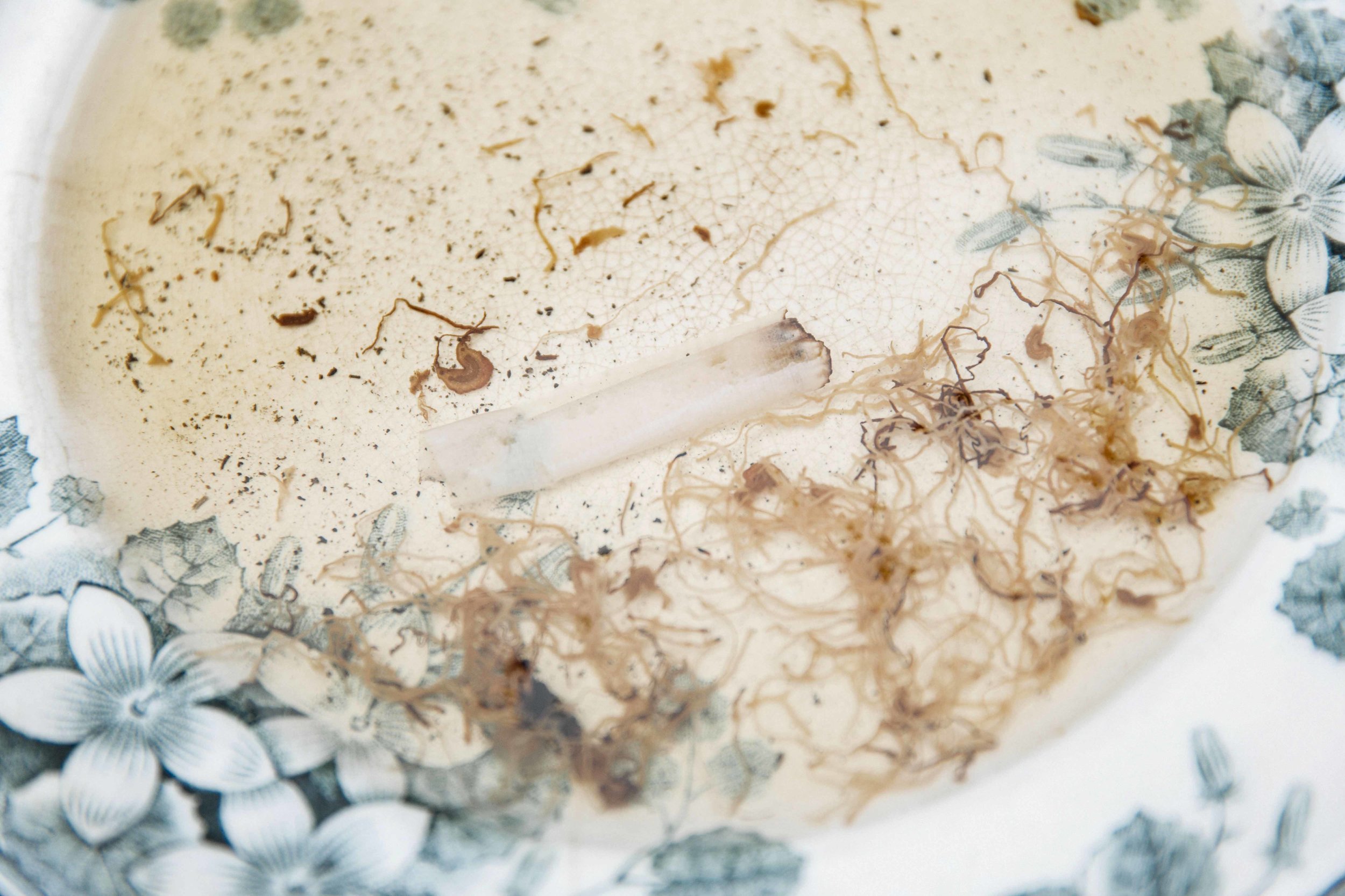 Constant_7623©Camilla Jensen 2019.jpg