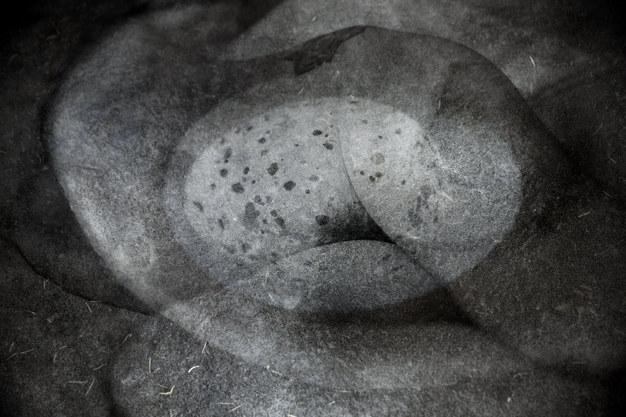 Jenny ligger red.red.8840.jpg