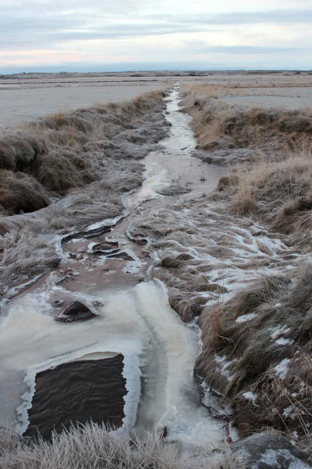 icelandfrozenditch.jpg