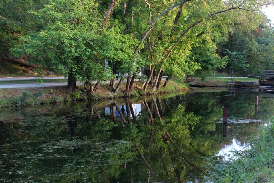 reflection.jpg