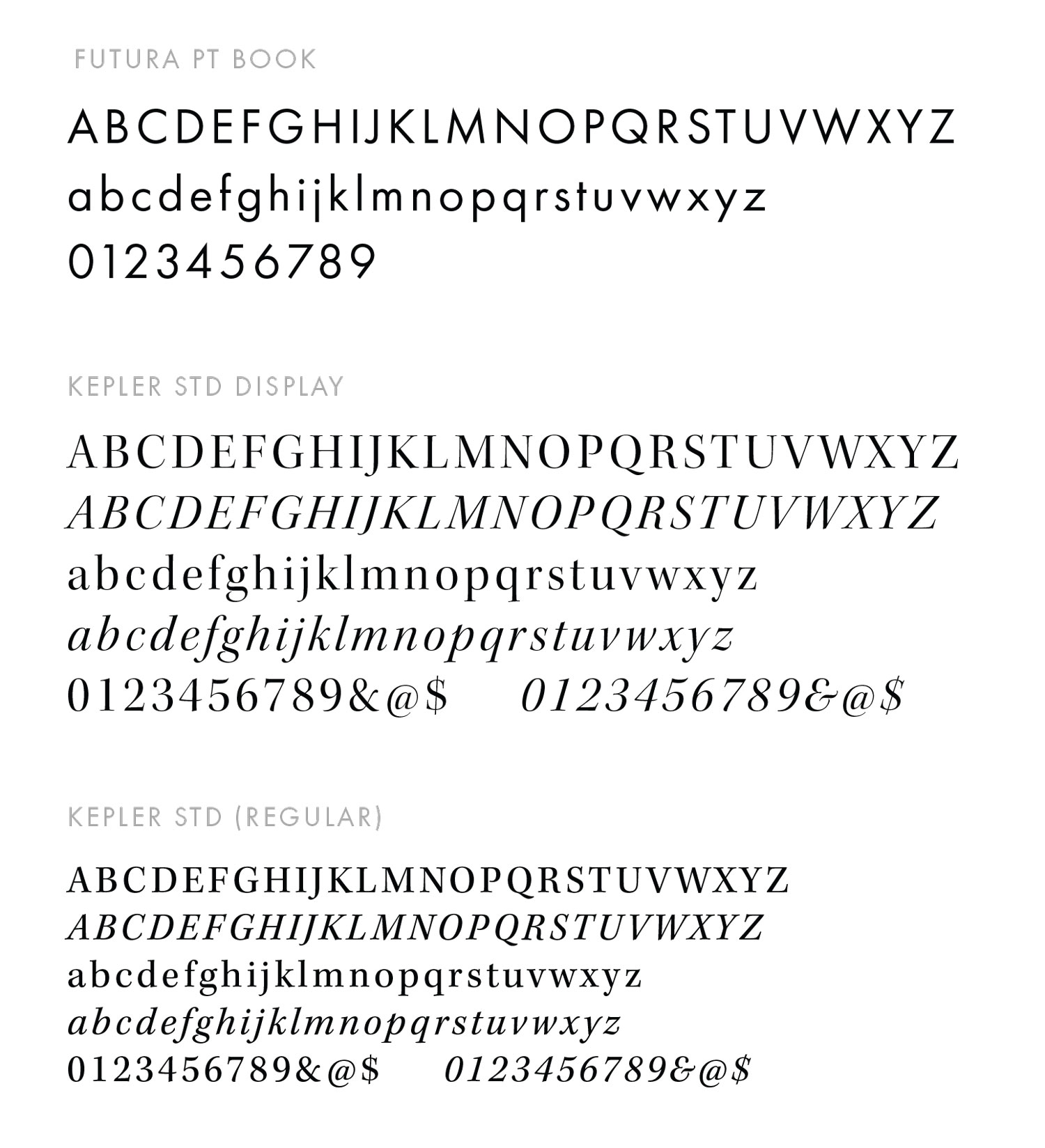 tdr-typography.jpg