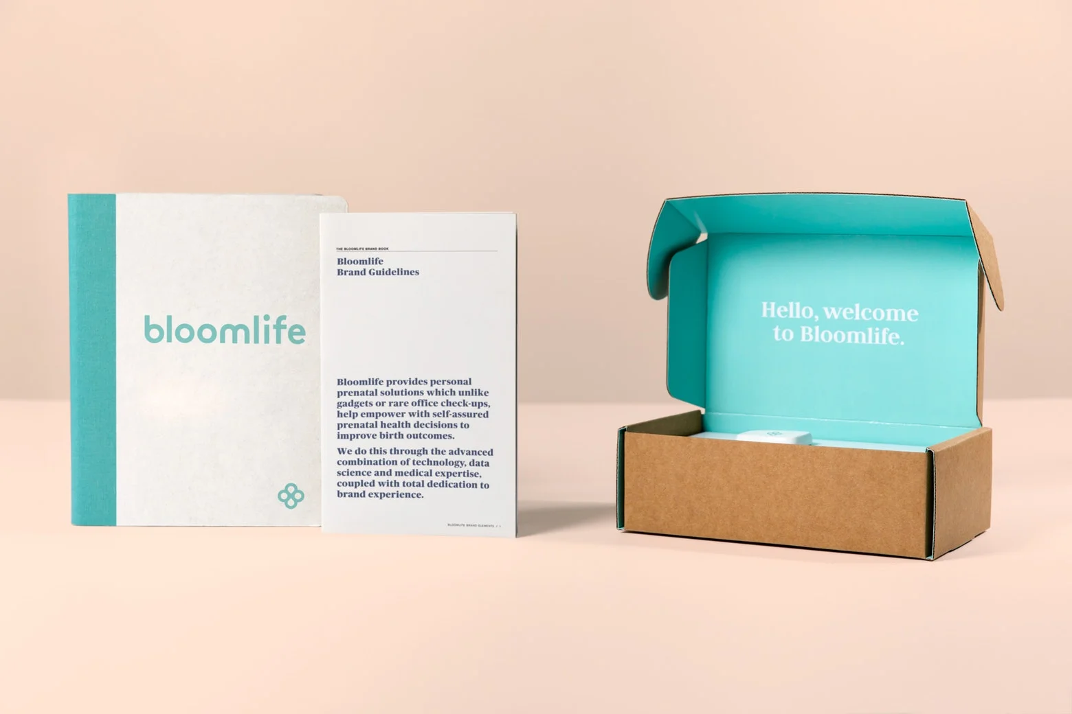 Bloomlife Brand Launch — Annessa Braymer Designs