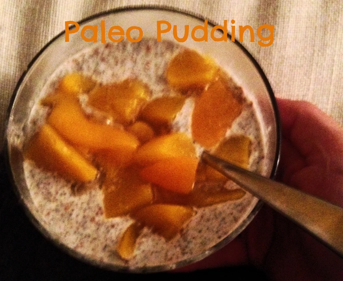 Paleo Pudding.jpeg