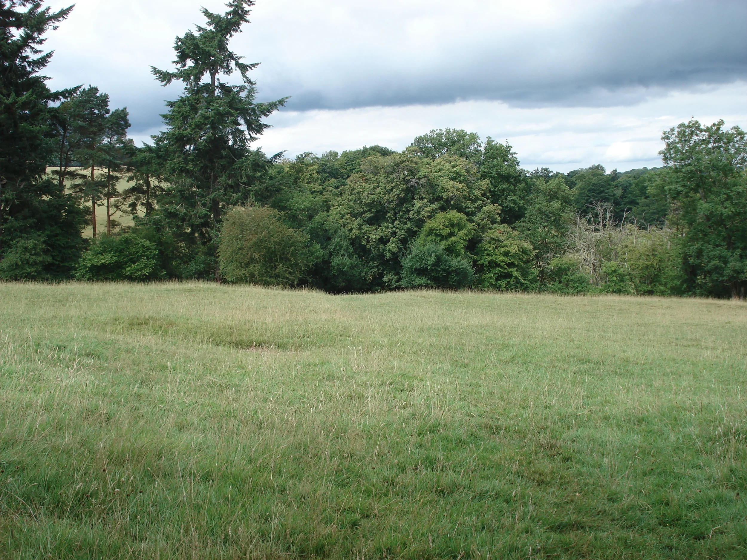 DSC00502.JPG