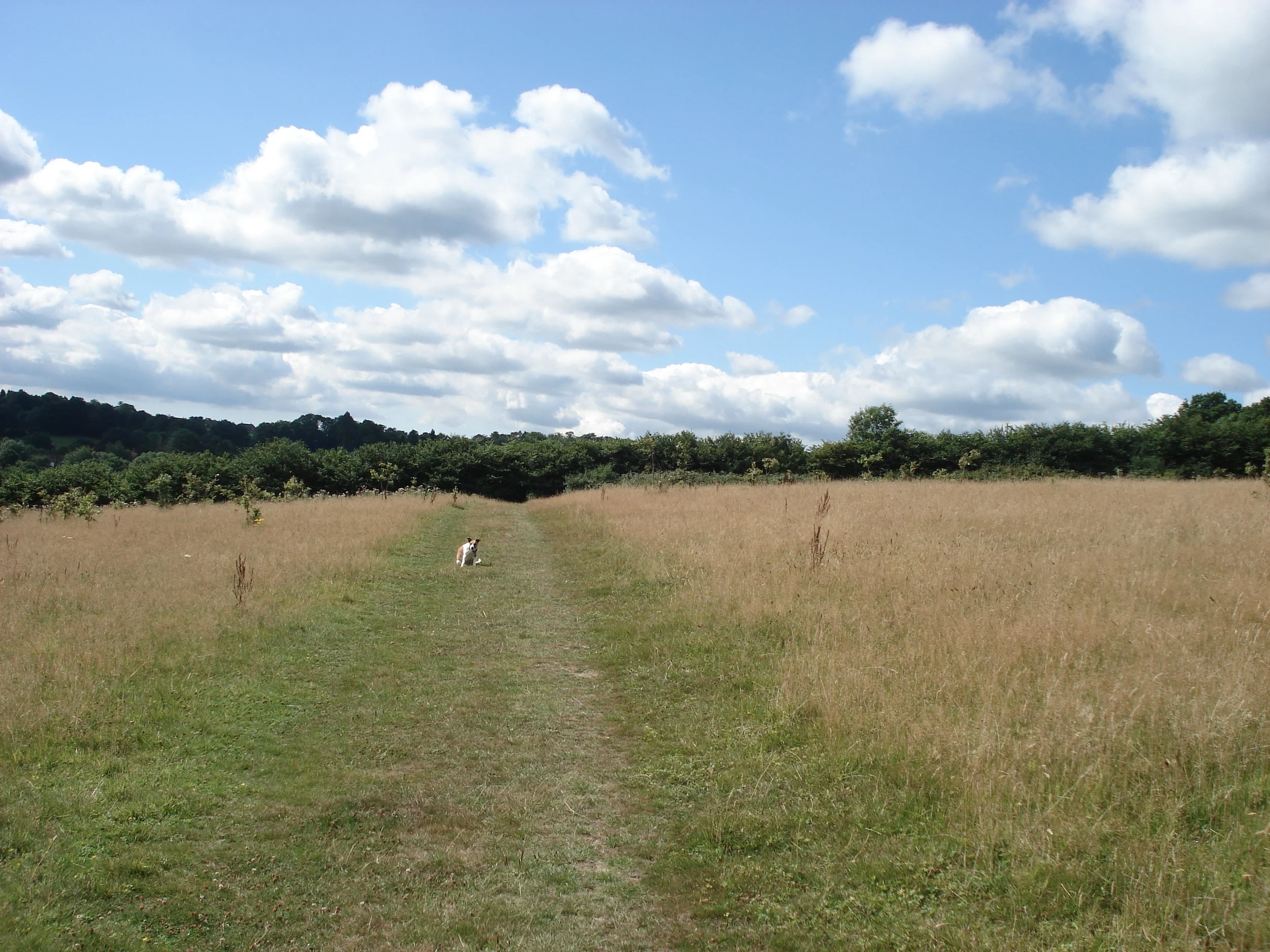 DSC00505.JPG