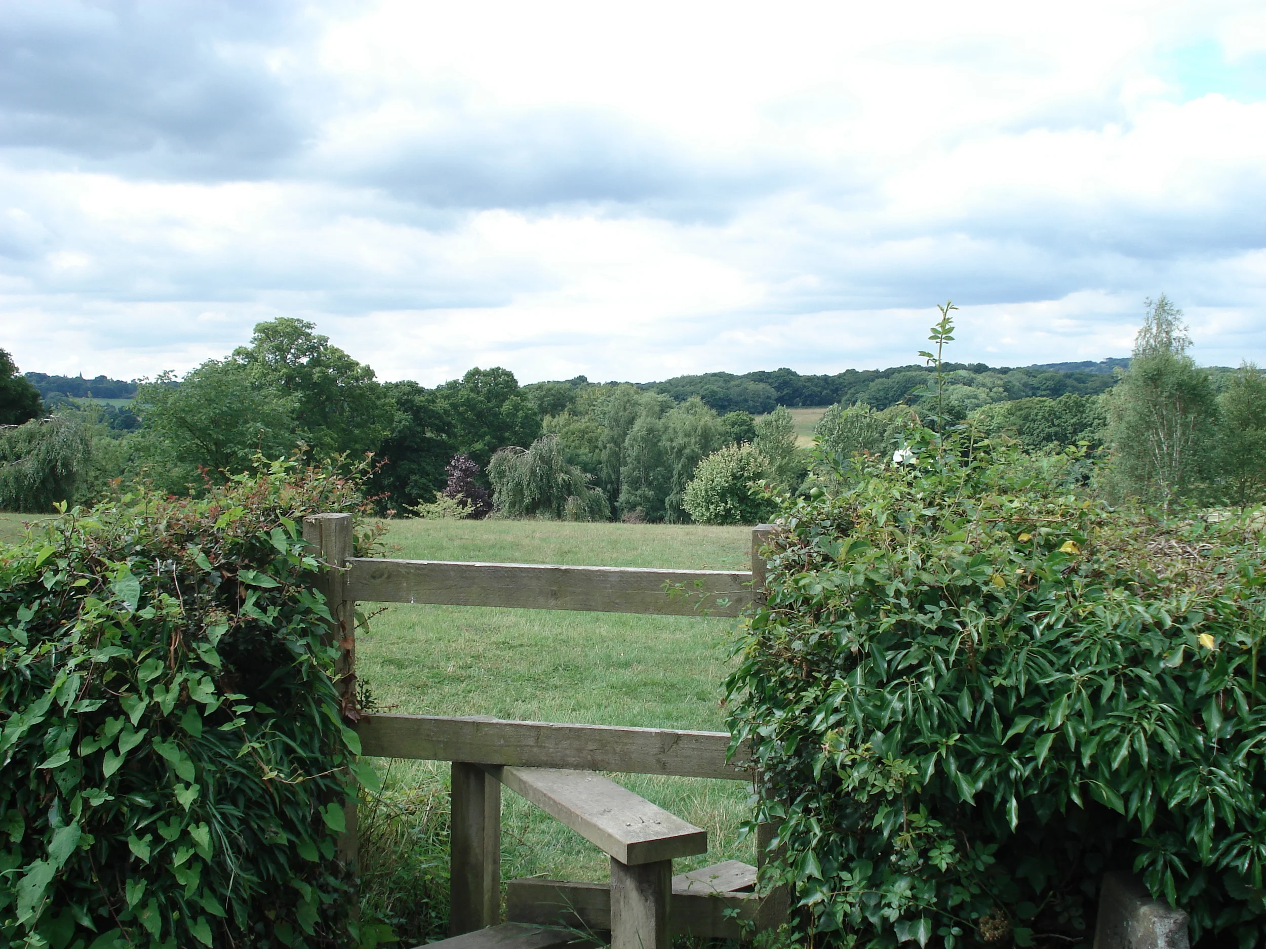 DSC00524.JPG
