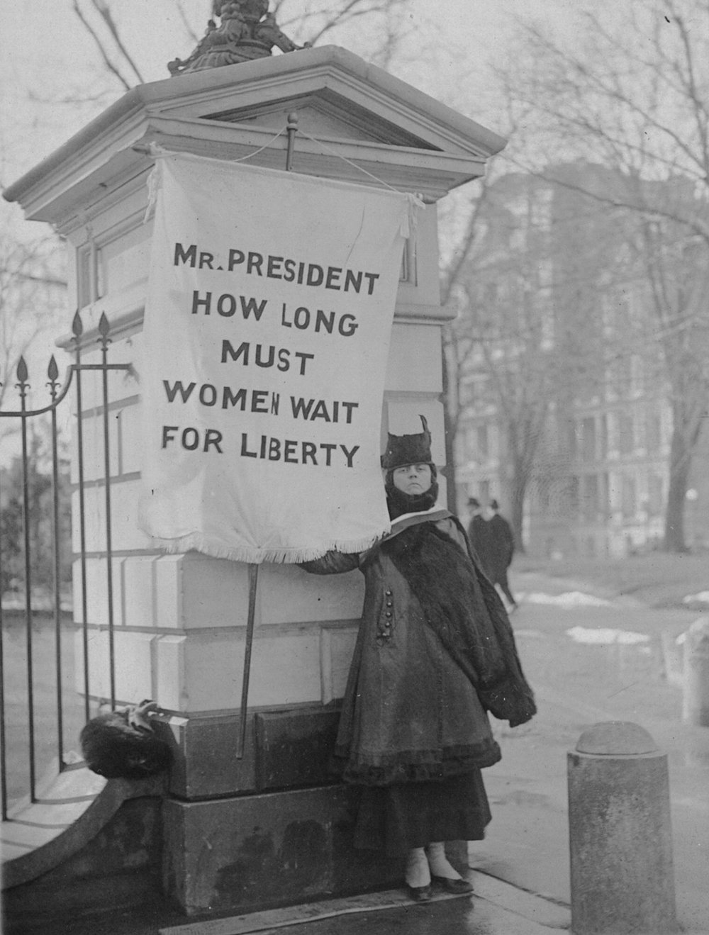 ["Silent sentinel" Alison Turnbull Hopkins at the White House on New Jersey Day.]